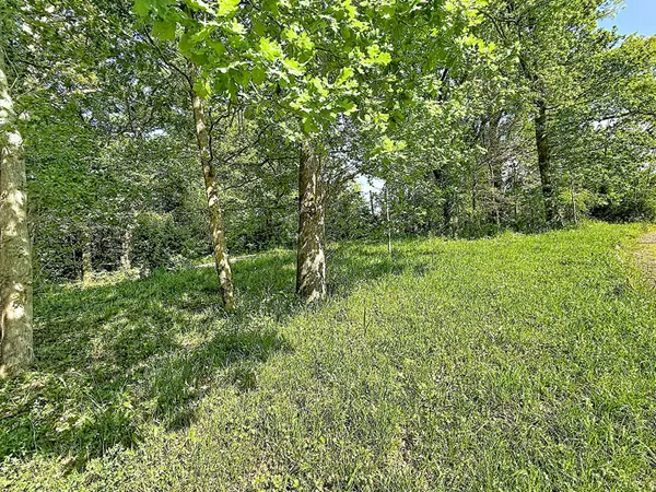 Terrain Mouguerre 1080 m2