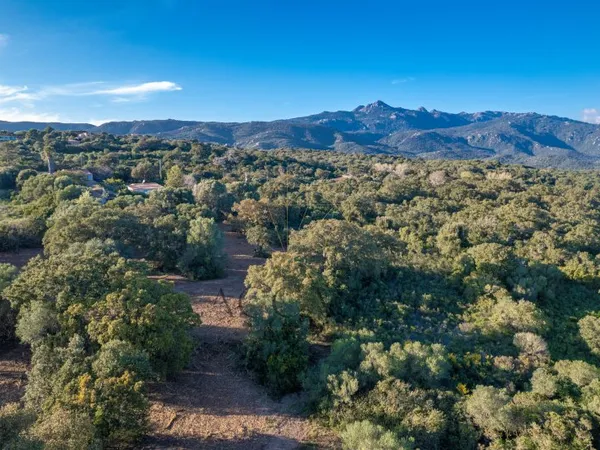 Terrain constructible à vendre à Pianottoli-Caldarello Environnement calme et arboré à deux pas du v