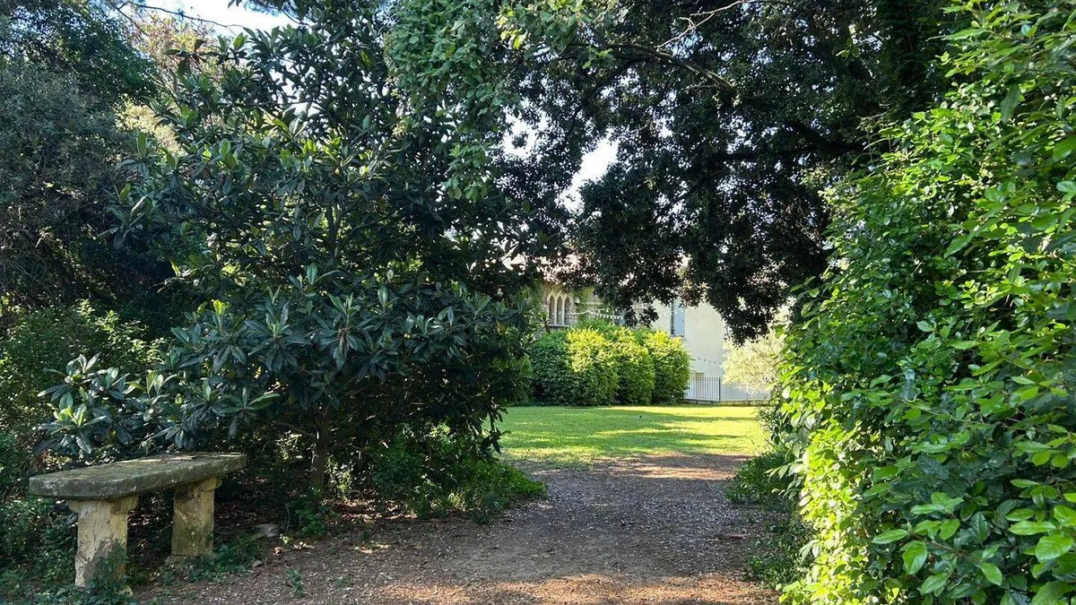 Photo 7