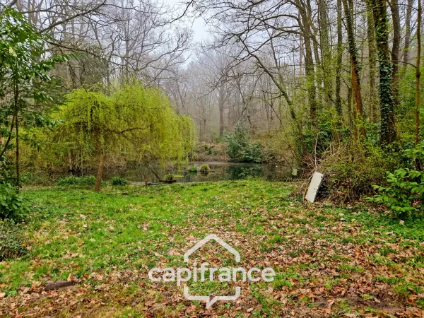 Terrain 96594 m²