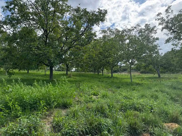 Terrain 4710 m²