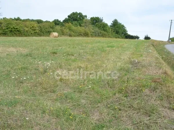 Terrain à construire à vendre ALLIGNY COSNE (58200)