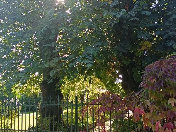 Propriété 5 pièces 160 m²
