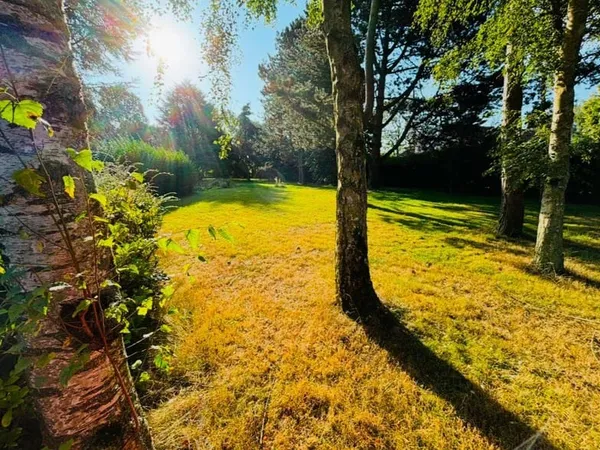 Terrain 985 m²