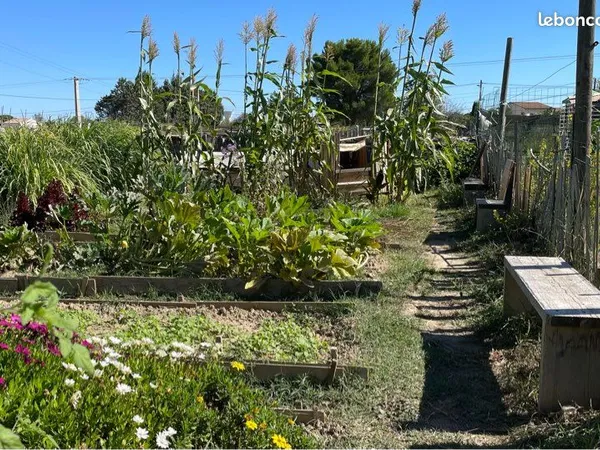 Jardins potagers à louer 200m2 20/mois