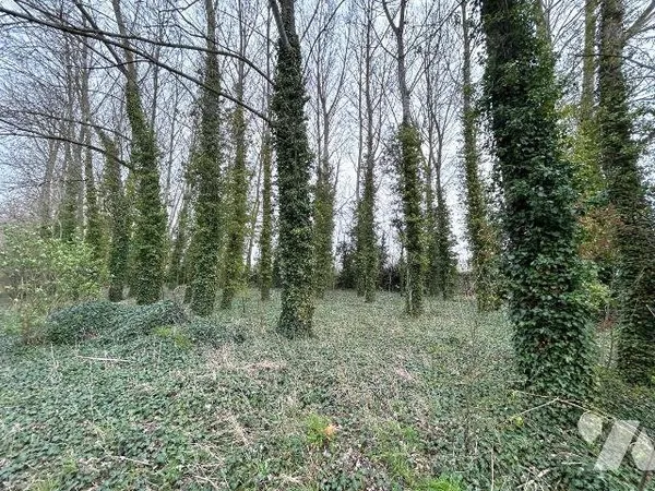 Terrain 3800 m²