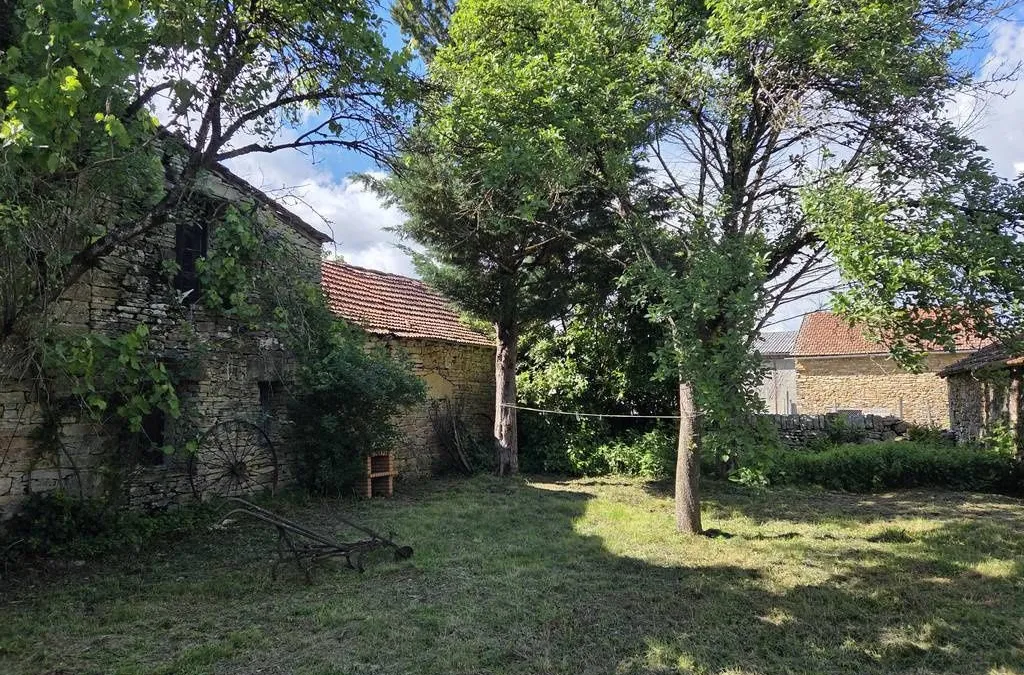 Photo 13