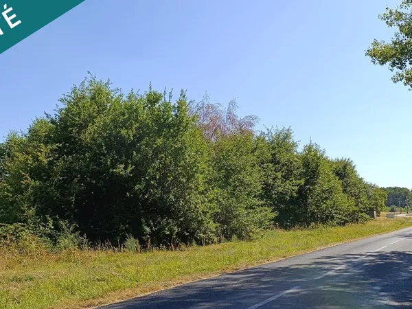 Terrain Vente Savigny-en-Véron  5392m² 89900€