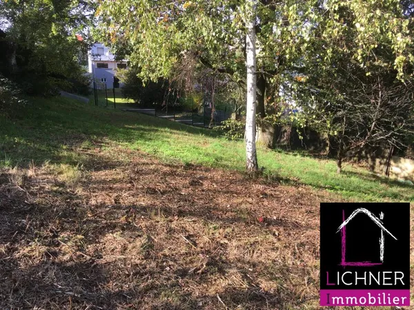 Terrain 477 m²