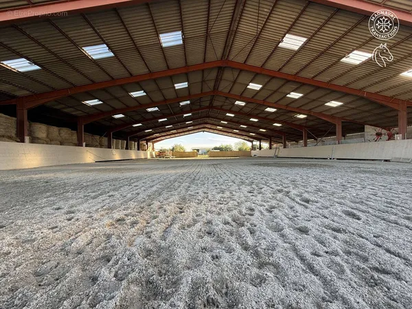 Centre équestre complet (Tarn-Occitanie)