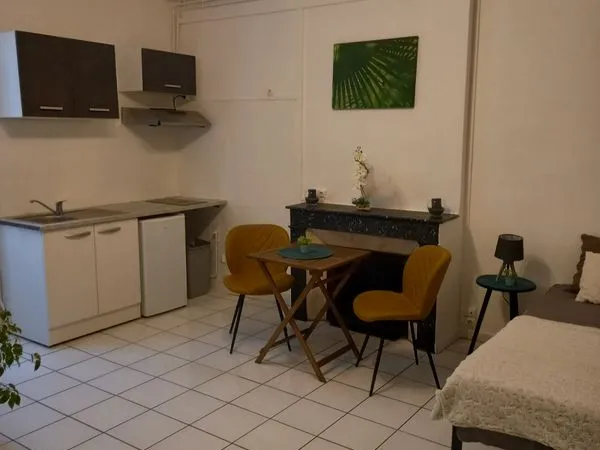 Studio meublé 23,5 m² - Centre-ville à pied