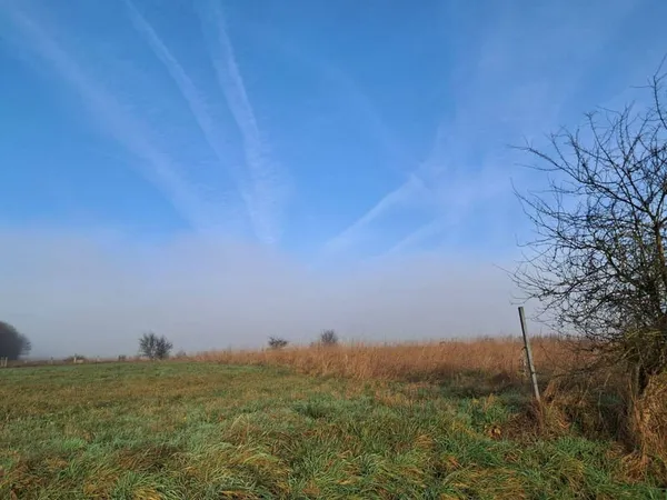 Terrain 1600 m²