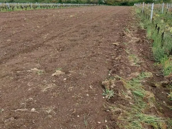 Terrain agricole