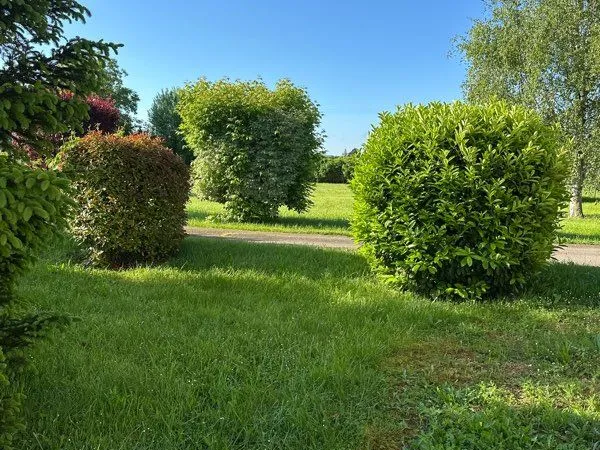 Prissé 4 parcelles de terrain constructibles 100000