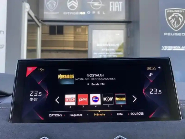 Ds Ds 3 bluehdi 130 auto performance line — photo 10