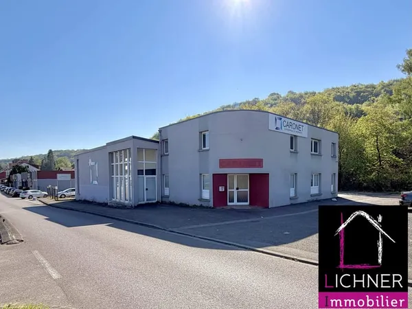 Immeuble commercial polyvalent aux portes de la frontière.