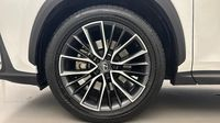 Lexus Nx 450h+ Executive 4WD MY24 — photo 20