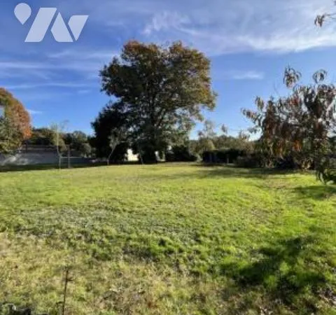Terrain 1000 m²