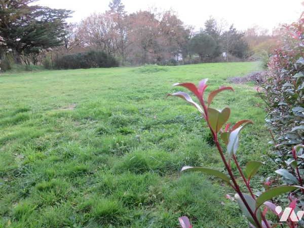 Terrain 984 m²
