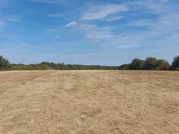 Terrain Vente Cherbourg-en-Cotentin  2000m² 100€