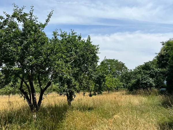 Vends terrain 18400m² dans le Perche