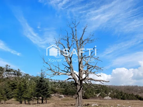 Deux parcelles agricoles au coeur de Mazaugues