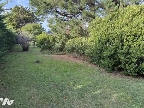 Terrain 443 m²