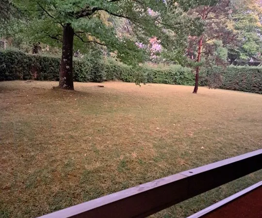 Studio de 35m2 à louer sur Saint-Jean-de-Luz