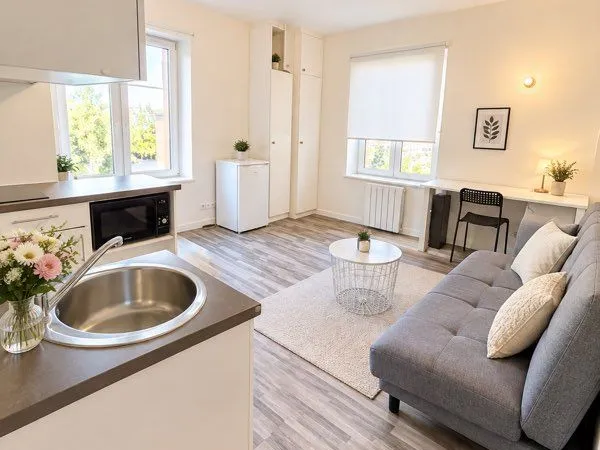 Appartement Location Montmagny 1p 20m² 750€