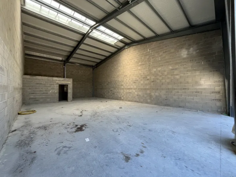 Photo 5