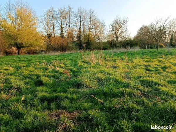 Location pré pour animaux