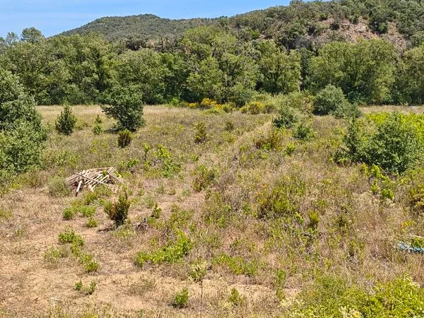 Terrain jardinage