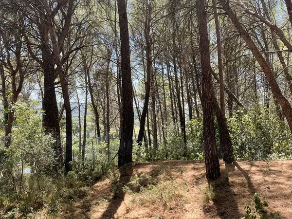 Charmant terrain boisé de 3 856 m² à Cadenet, Provence