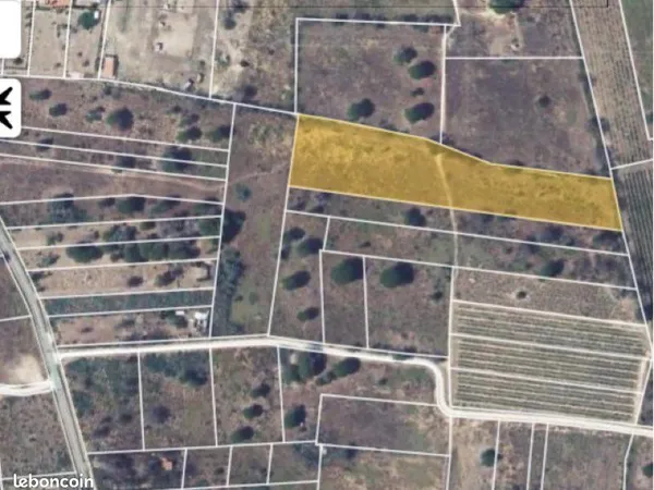 Terrain Agricole de 6863 m2