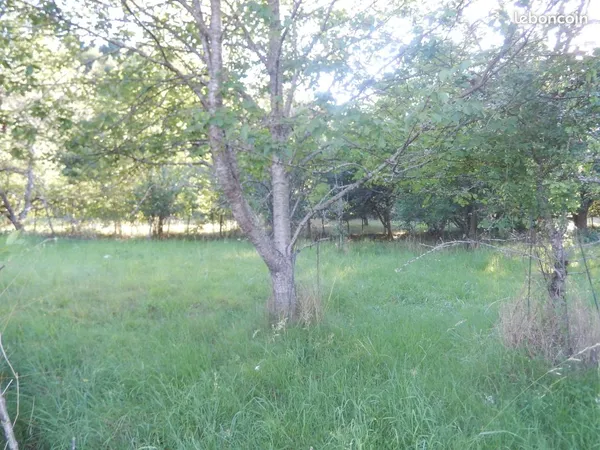Terrain 1173 m² SAINT SYMPHORIEN DE MARMAGNE