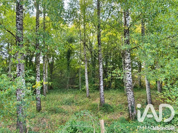 Terrain 4545 m² Porte de Benauge