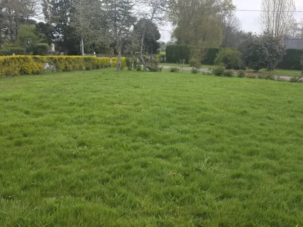 Terrain 397 m²