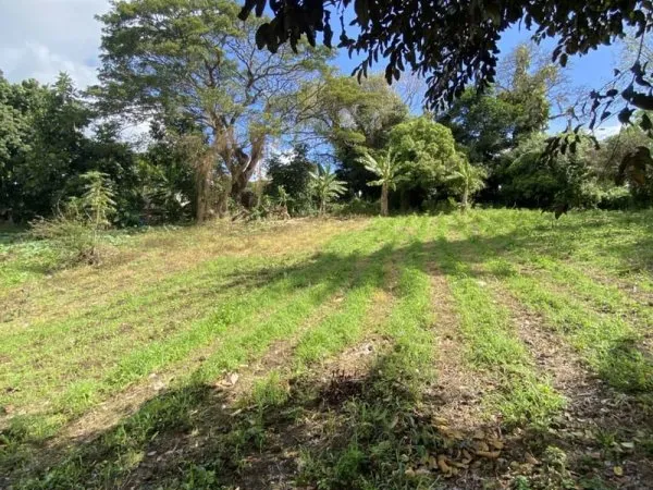 Terrain 2500 m²