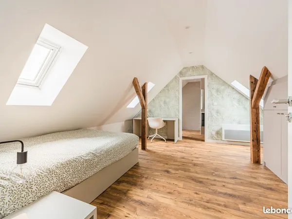 Chambre 1 pièce 50 m²