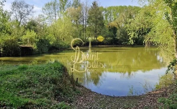 Terrain 4135 m²