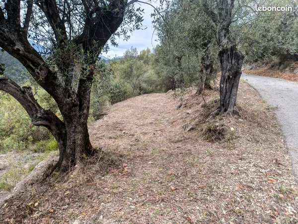 Terrain 4300 m2