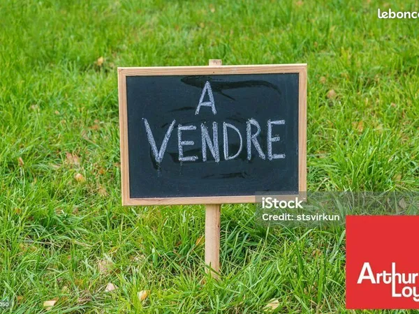 TERRAIN 12304 m² SAINT JEAN D'ANGELY