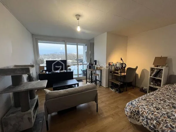 Appartement 1 pièce 29 m²