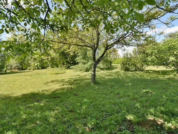 Terrain 1635 m² Garrigues