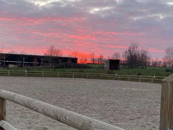 Structure equestra a vendre