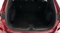 Ford Kuga 2.0 EcoBlue 150ch mHEV ST-Line — photo 14
