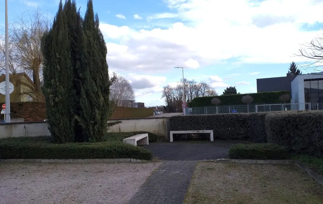 Photo 3