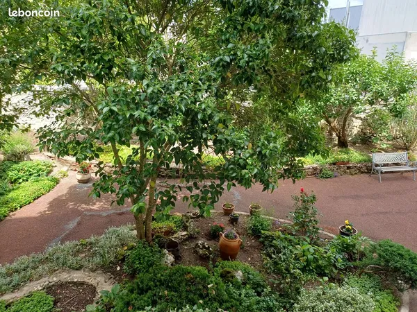 Bel appartement centre ville