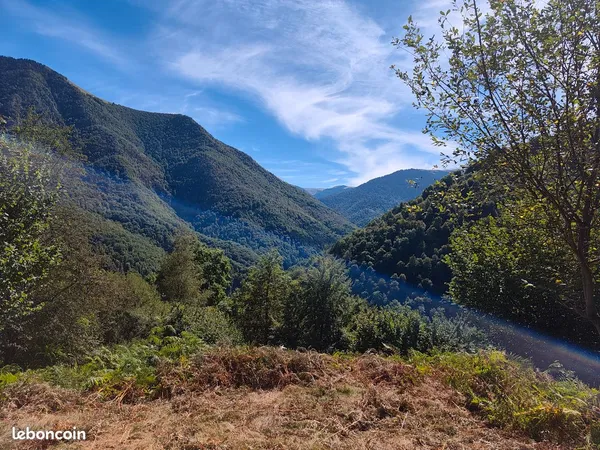 Terrain boisé de plus d'1 hectare - environnement naturel