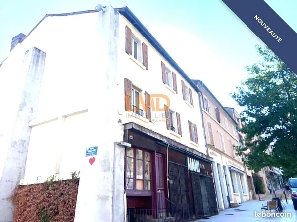 Maison 19 pièces 247 m²